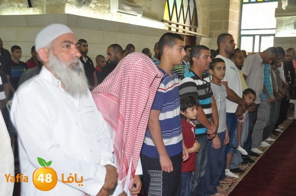 bazsalah lud 712 (34).JPG